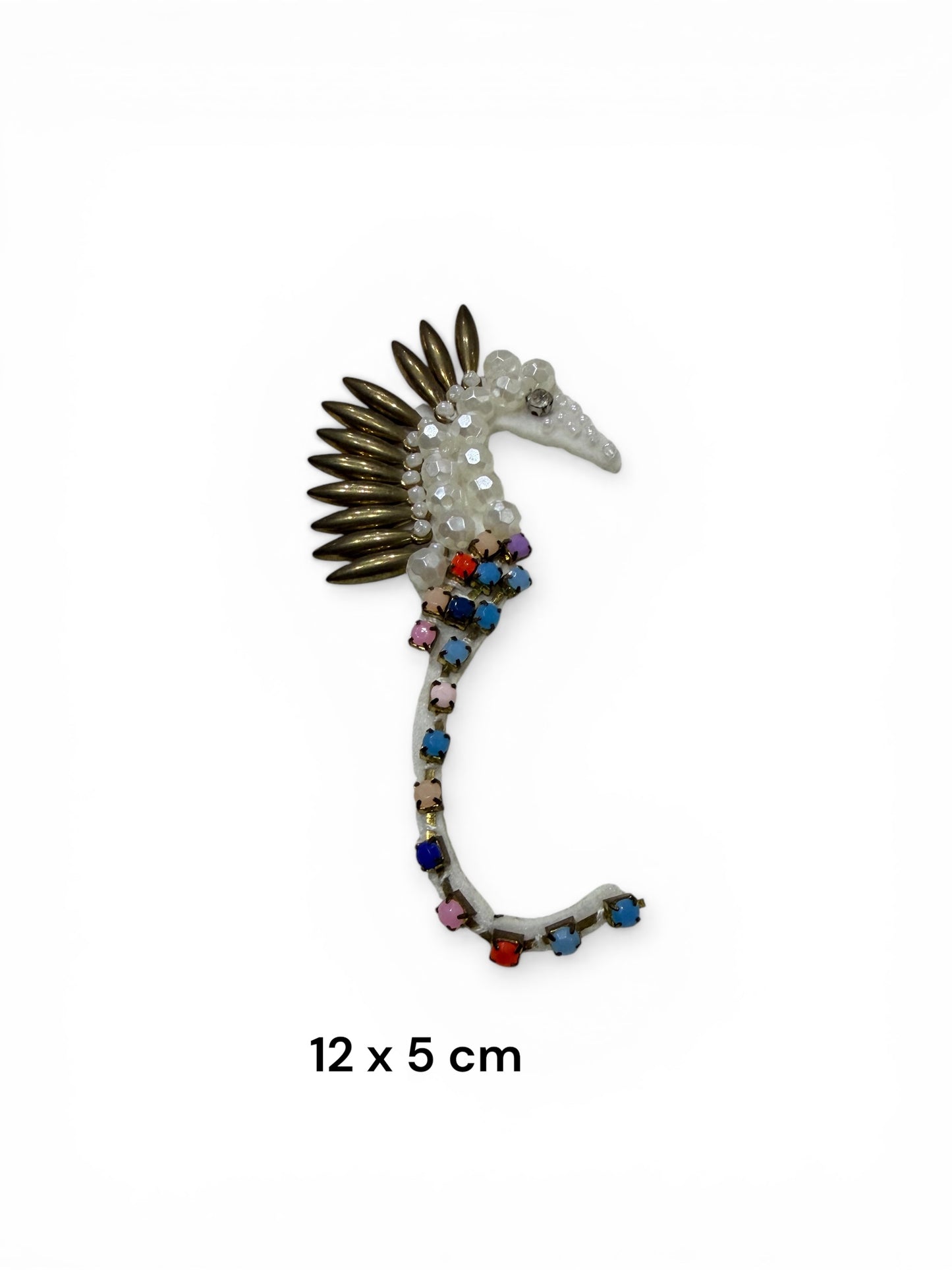 Parche caballito de mar